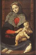Piero di Cosimo The Virgin and Child with a Dove (mk05) oil on canvas